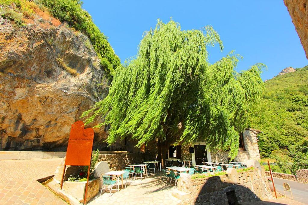Hostellerie Du Vieux Moulin Duilhac Zewnętrze zdjęcie